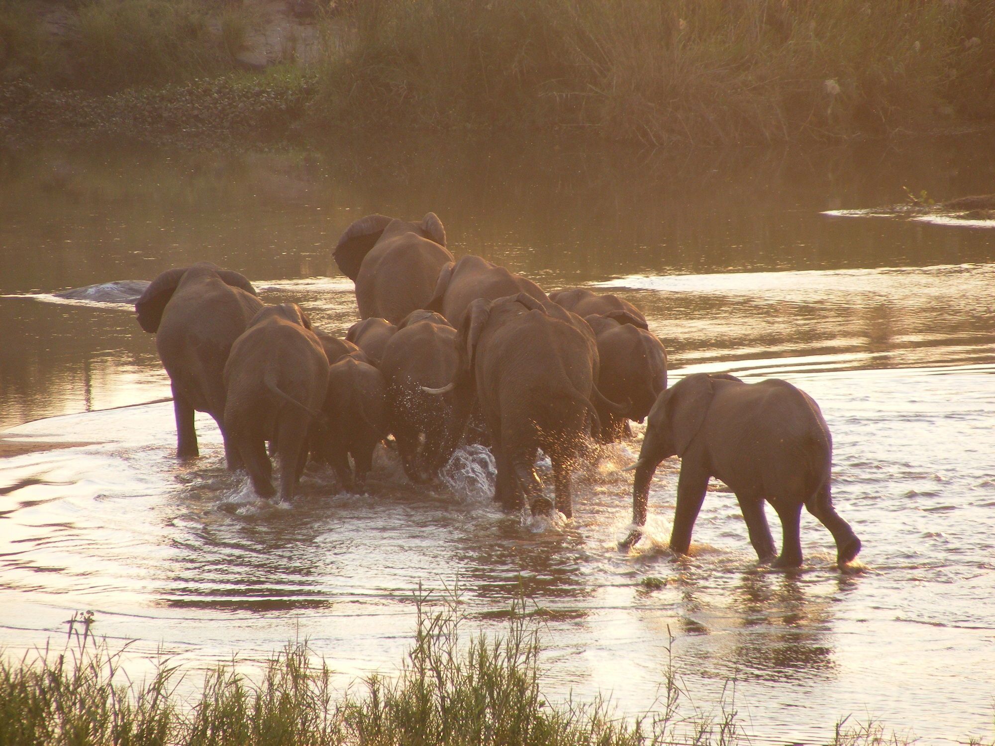 Elephant Walk Retreat Komatipoort Exterior foto
